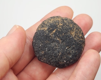 Saffordite 40.9 Grams- "Cintamani Stone" Safford Arizona USA- Sphere, Ancient Chip with Rune, Perfect Palm Stone- Dark Translucent- AG12
