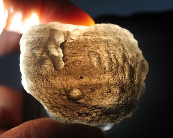 59.5 Grams or 297.5 Carat Agni manitite- 'Agni Mani' Translucent- from Java Indonesia- Unique Specimens- AH9