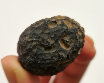 Saffordite 21.8 Grams- "Cintamani Stone" Safford Arizona USA- Moon like Craters, Oval Sphere, Mineralized- Translucent- AD14