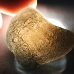 May include: A close-up of a light brown, irregularly shaped, smooth, glass stone with a textured surface.