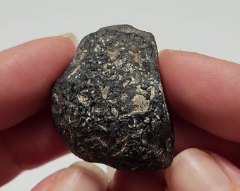 Saffordite 19.8 Grams- "Cintamani Stone" Safford Arizona USA- Ancient Worn Chips, Rune like Mineralization Pattern- Translucent- AE23