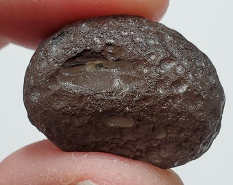 Colombianite from the Cauca River, Colombia- 10 Grams- Rounded, Beautiful Surface Texture, Slight Sheen- Highly Translucent- E47