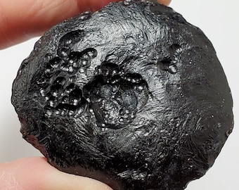 Tektite from Thailand- 76.7 Grams- Thailandite, Indochinite- Intricate Surface Texture, Palm Stone, Pitted Divot- TY4
