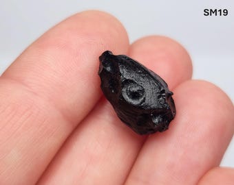 Select One Billitonite Tektite: 'Batu Satam', Belitung Island, Indonesia- Rare Find, Glossy- SM(19-24)