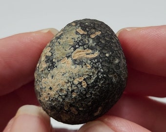 Saffordite 22.4 Grams- "Cintamani Stone" Safford Arizona USA- Partial Mineralized, Beautiful Textures, Oval Egg Shape- Translucent- AE15