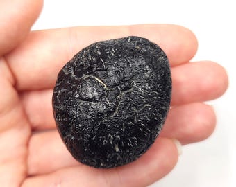 Tektite from Thailand: 62.9 Grams- Thailandite, Indochinite- Unique Texture, Egg Shape Core- TU11
