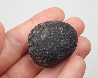 Saffordite 26.8 Grams- "Cintamani Stone" Safford Arizona USA- Stands on Side, Thumb Divot, Perfect Palm Stone- Translucent- AG10