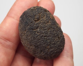 Saffordite 28.6 Grams- "Cintamani Stone" Safford Arizona USA- Perfect Palm Stone, Finely Textured, Semi Flat- Opaque- AG4