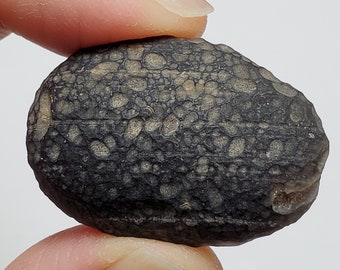 Cintamani Saffordite 15.9 Grams- "Cintamani Stone" Senora Desert Arizona, USA- Beautiful Patterns, Flat-Dark Banded Translucent- SE25