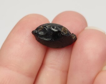 Tektites