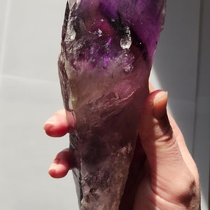 Bacchetta canora in ametista dente di drago non lucidata: 23 cm di lunghezza - Bahia, Brasile - Chevron Phantoms, zone di colore citrino fumé, radice - n. 3 immagine 5