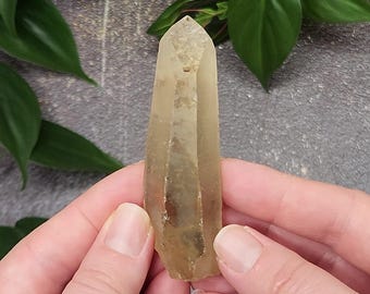 Smokey Citrine Lemurian Quartz Crystal 3.2 inch or 8.1 cm Long- Goias, Brazil- 'Pele's Dream' 'Shadow Healer' Circular Record Keepers- LJ6