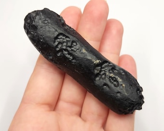 Tektite from Thailand: 58.8 Grams- Thailandite, Indochinite Semi Flat Cigar- TU25