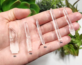 Select One Optical Quartz Santander Colombia: 4.3-5.5cm Long- Pencil Thin Slender, Mini Laser Wand, Phantoms, Titanium, B.N.- (D1-5)