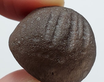 Colombianite from the Cauca River, Colombia- 9.2 Grams- Semi Weathered Smooth- Highly Translucent- E30