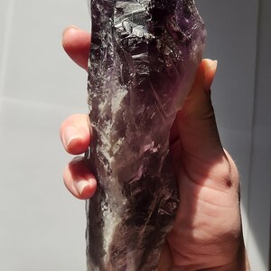 Bacchetta canora in ametista dente di drago non lucidata: 23 cm di lunghezza - Bahia, Brasile - Chevron Phantoms, zone di colore citrino fumé, radice - n. 3 immagine 2