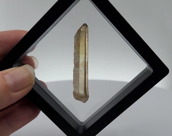 Natural Citrine from Zambia Africa- Standing Display Case Included- Beautiful Color, Starbrary Marks Record Keeper- DS5