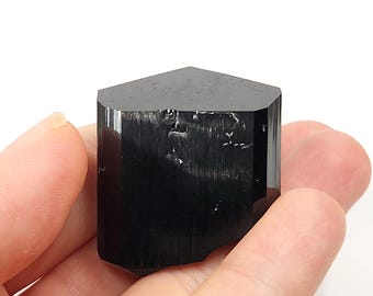 Black Tourmaline Crystal- Erongo Namibia- 2.5cm Tall, 44.8 gram- Geometric Termination, Lustrous- A4
