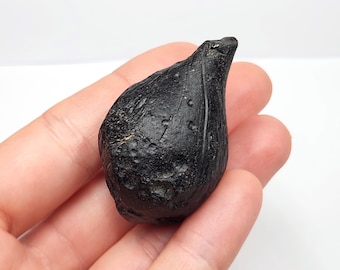 Tektite Thailand: 42.4 Grams- Thailandite, Indochinite Top Quality, Unique Onion like Drop, Swirling Textures- TU22