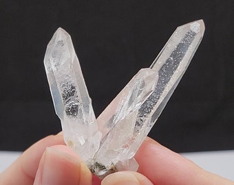 Starbrary Quartz Family Cluster 2.2in or 5.5cm Long- Corinto, Brazil- Rainbow Connection, World Class Optical, Gorgeous Records- EH8
