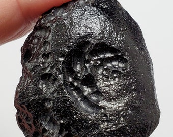 Tektite from Thailand- 44.5 Grams- Thailandite, Indochinite- Amazing Surface Texture, Perfect Palm Stone, Rune, Slightly Glossy- TY3