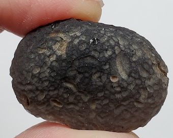 Cintamani Saffordite 16.1 Grams- "Cintamani Stone" Senora Desert Arizona, USA- Semi Flat, Mineralized- Translucent- SK12