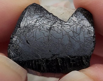 Black Tourmaline, Pakistan- 16.7 Grams- Unique Termination, Well formed, Lustrous, Tapestry or Circuit Board Pattern, Sacred Geometry- EB10
