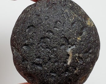 Huge Colombianite from Valle Del Cauca, Colombia- 120.9 Grams- Extra Large Palm Stone, Semi Sphere, Seahorse Rune- Translucent- D2
