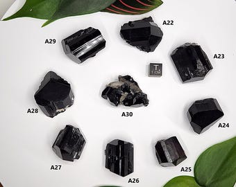 Select a Black Tourmaline Crystal- Erongo Mountains Namibia- Short Standing Terminated Crystals- Geometric, Lustrous- A22-30