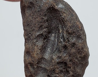 Cintamani Saffordite 11.4 Grams- "Cintamani Stone" Senora Desert Arizona, USA- Slightly Weathered, Deep Groove Rune- Translucent- SH12