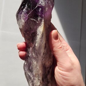 Bacchetta canora in ametista dente di drago non lucidata: 23 cm di lunghezza - Bahia, Brasile - Chevron Phantoms, zone di colore citrino fumé, radice - n. 3 immagine 4
