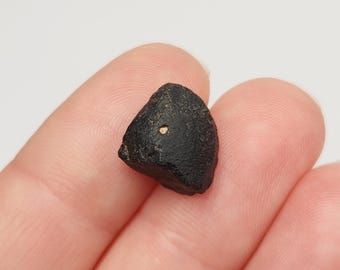 Australite Tektite, South Australia: 1.38 gram Australasian Impact- Stands on Side, Fin like- D19