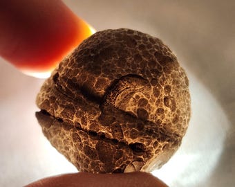 Saffordite 'Cintamani': 15.4 Grams, Safford Arizona USA- Natural Moon Rune, Weathered, Banded Translucent- GP4