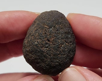 Saffordite 22.8 Grams- "Cintamani Stone" Safford Arizona USA- Mineralized Palm Stone, Slightly Weathered Fine Texture- Translucent- AE14