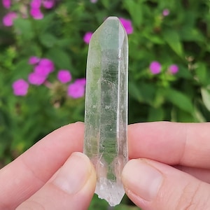 Puede incluir: Una punta de cristal de cuarzo transparente con una forma natural y facetada. El cristal mide aproximadamente 12,7 cm de largo y tiene un ligero tono verde.