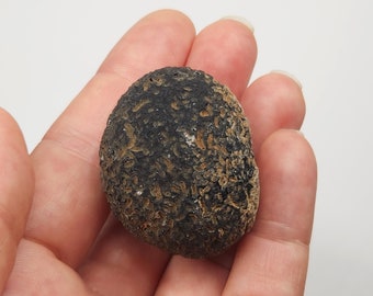 Saffordite 50 Grams- "Cintamani Stone" Safford Arizona USA- Perfect Palm Stone, Mineralized- Dark Translucent- AG5