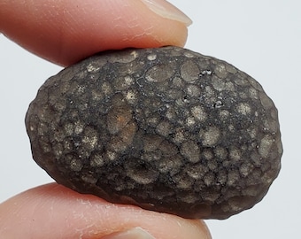 Cintamani Saffordite 12.7 Grams- "Cintamani Stone" Senora Desert Arizona, USA- Oblong, Highly Textured- Translucent- SE12