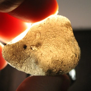 17 gram eller 85 karat Agni Manitite - 'Agni Mani' genomskinlig pseudotektit - från Java, Indonesien - vackra exemplar - D8