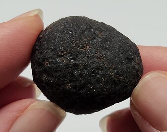 Saffordite 20 Grams- "Cintamani Stone" Safford Arizona USA- Palm Stone, Beautiful Texture Matte Black Surface, Flat Back- Translucent- AE3