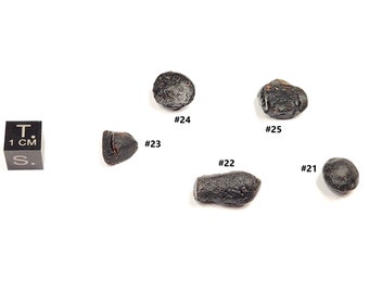 Choose One Australite Tektite from South Australia- Australasian Impact- Rare, Unique Shapes, Some Partial Translucent- (#21-25)