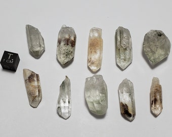 10 Unpolished 'Garden/ Shaman' Quartz Crystal with Excellent Mineral Inclusions Lodolite, Chlorite, Hematite etc- Brazil- 55.3 Grams- BP L#5