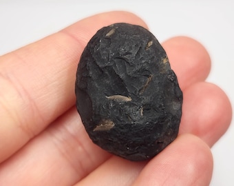 Saffordite 'Cintamani': 15.7 Grams, Safford Arizona USA- Unique Weathering, Prune like Shape Translucent- GP8