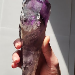 Bacchetta canora in ametista dente di drago non lucidata: 23 cm di lunghezza - Bahia, Brasile - Chevron Phantoms, zone di colore citrino fumé, radice - n. 3 immagine 6