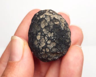 Saffordite 24.6 Grams- "Cintamani Stone" Safford Arizona USA- Mineralized Pits 'Dalmatian Pattern' Moon like Craters- Translucent- AJ2