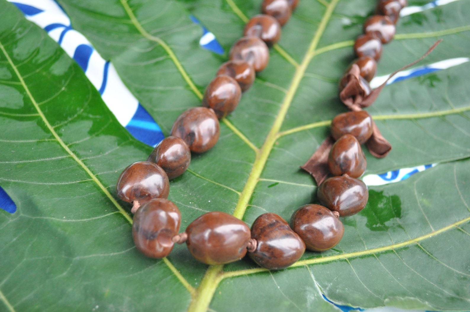 Authentic Hawaiian Kukui Nut Lei Real Kukui Nuts Hand Crafted Etsy