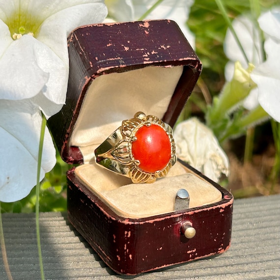 Oxblood red coral clearance