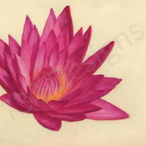 Pink Water Lily Oil Painting Print – Modern Botanical Wall Art – Digital Download