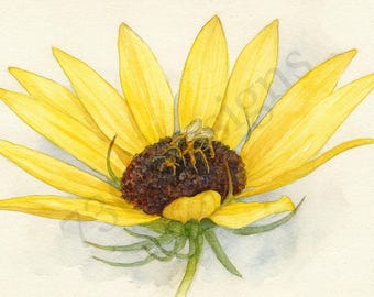 Yellow Flower Watercolor Print with Bee – Botanical Wall Art from Original Photograph – Digital Download