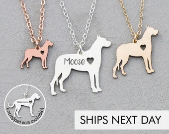 Jewel Zone US Cute German Shepherd Dog Animal Unique Necklaces /& Pendants 14k Gold Over Sterling Silver