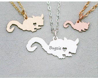 Collar de petauro del azúcar: dije personalizado con el nombre de tu mascota, joyería marsupial de plata esterlina